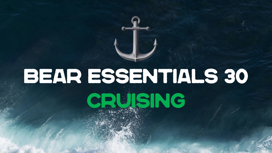 Teaser poster for Bear Essentials 30